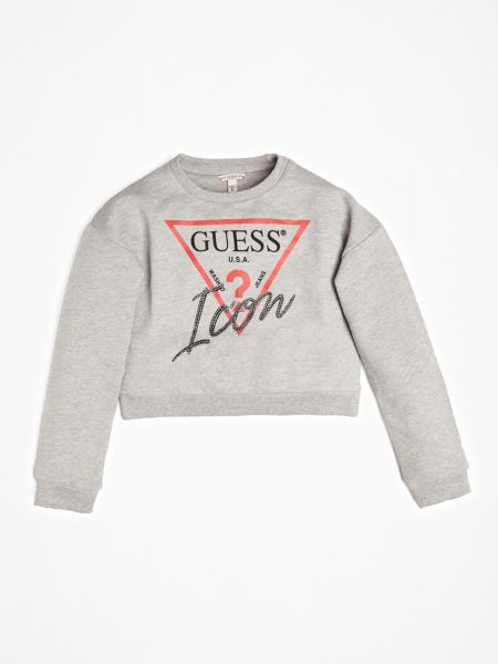 Guess Sweater Strass Logo Voorkant guess kopen in de aanbieding