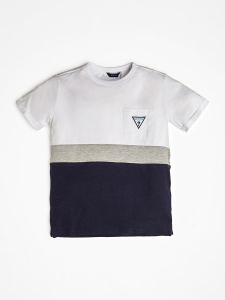 Guess T Shirt Color Block Print guess kopen in de aanbieding