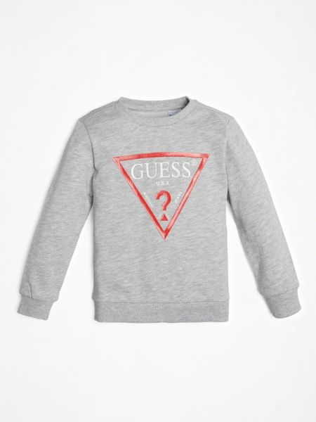 Guess Sweater Print Driehoeklogo guess kopen in de aanbieding